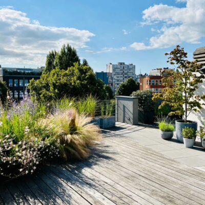 Terrasse en bois