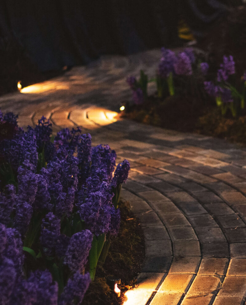 éclairage de jardin